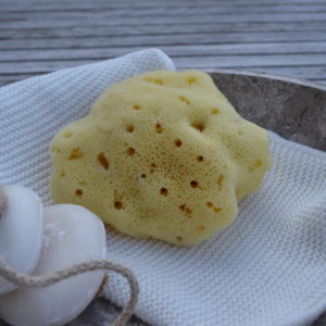 Mediterranean Silk natural sponges for the face
