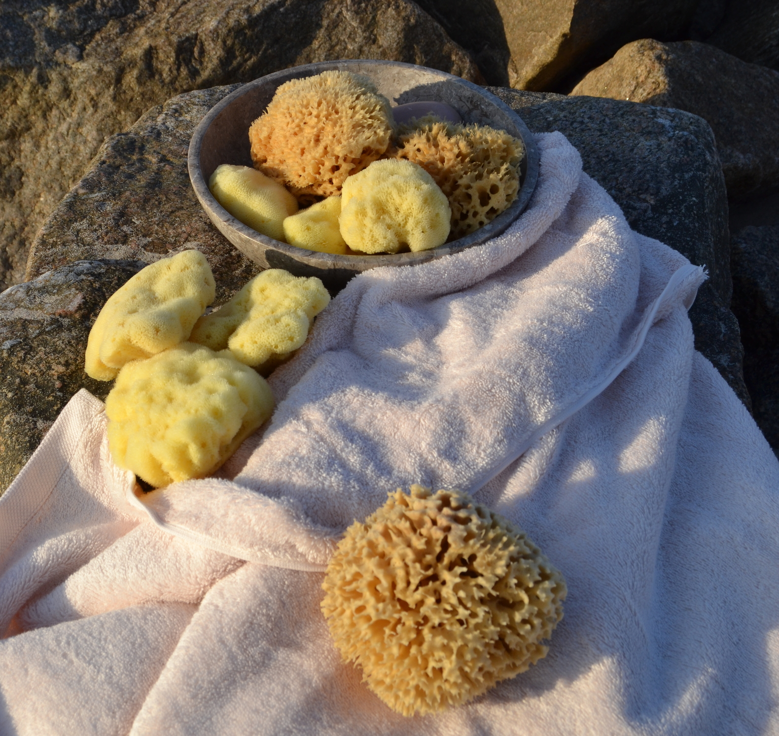Natural Sea Sponges, Luxury